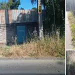 La concejala Paola Ortiz mencionó avenida Las Trancas, población Galvarino y calle Estados Unidos.