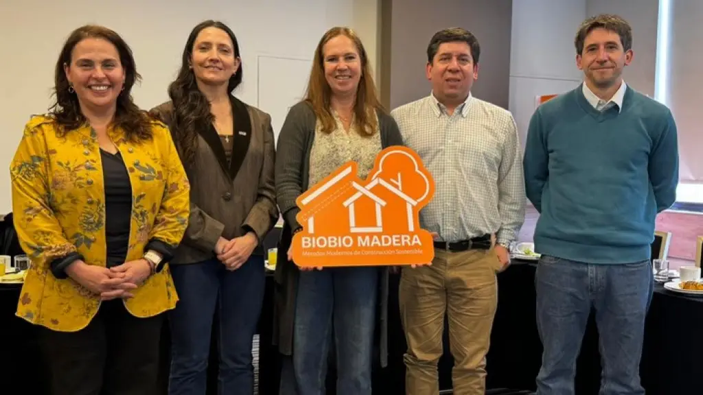 Margarita Celis liderará los nuevos desafíos del programa impulsado por Corfo, con foco en las pymes y la recuperación del sector productivo forestal y maderero, Biobío Madera