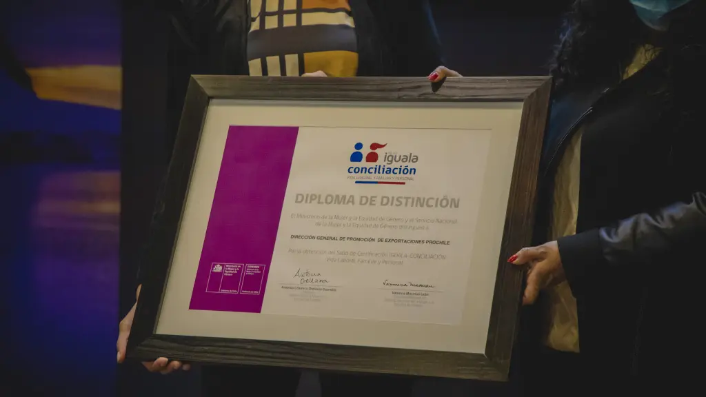 El proceso incluye compromiso gerencial, diagnóstico organizacional y plan de acción con enfoque de género. Se debe constituir un Comité de Género que lidera el Sistema de Gestión en Igualdad de Género y Conciliación, Redes Sociales