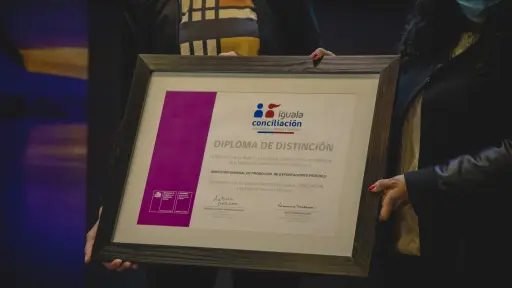 Equidad de género: solo 4 de las 125 empresas con el Sello Iguala Conciliación son de la región