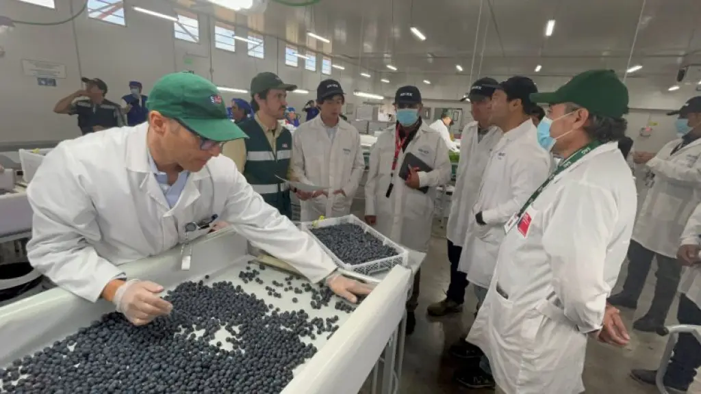 La Mesa Comex Agrupa a actores públicos y privados, y busca posicionarse como ente técnico asesor y apoyar el comercio exterior desde la región del Maule hasta Puerto Montt.