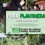 Feria Plantinera , Diario La Tribuna