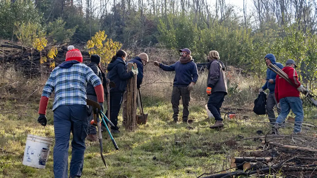 Corma solicitó que la nueva Ley de Incendios considere un apoyo estatal para que los propietarios puedan volver a plantar y mantener la continuidad de su actividad. / Diario La Tribuna