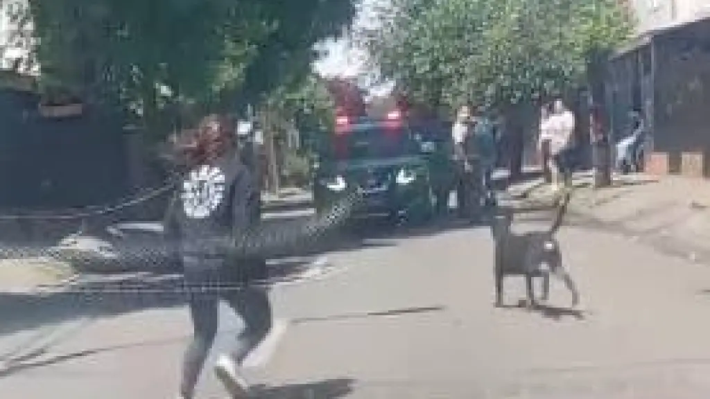 AHORA: Conductor se da a la fuga tras colisionar contra un motociclista en Los Ángeles , Diario La Tribuna