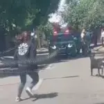 AHORA: Conductor se da a la fuga tras colisionar contra un motociclista en Los Ángeles , Diario La Tribuna