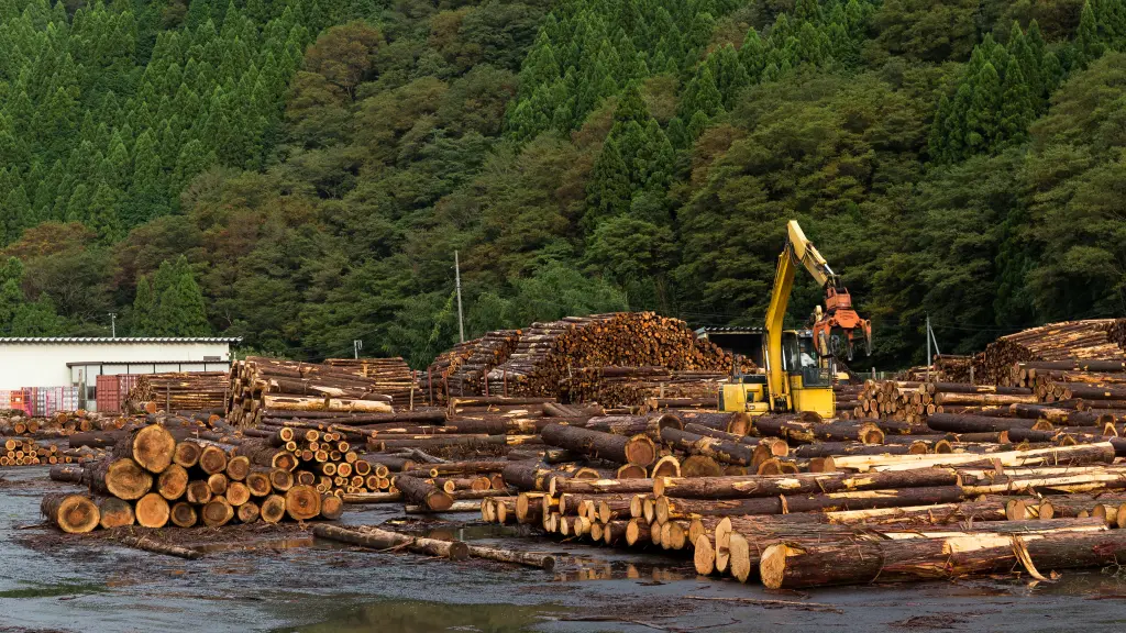 El programa Biobío Madera funciona como paraguas que engloba la colaboración entre pymes productoras, empresas constructoras y el sector público. Activo desde hace tres años, forma parte del plan estratégico regional dentro de los Programas Transforma de Corfo. Actualmente, el uso de la madera en construcción en Chile se sitúa en aproximadamente el 20%.