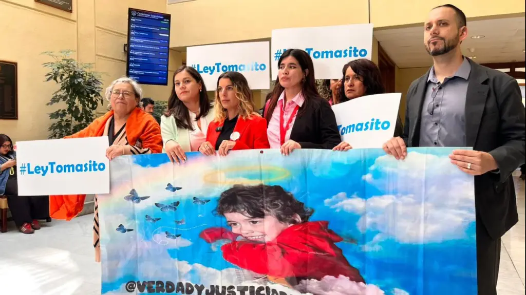 Diputada Karen Medina  respalda proyecto que busca fortalecer la justicia penal en Chile, Cedida