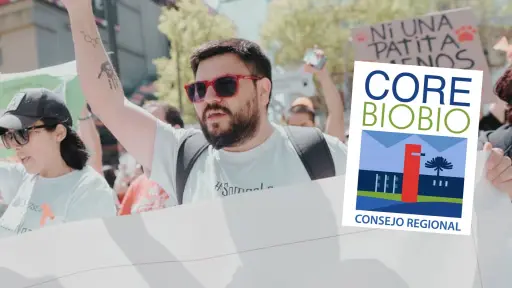 Repudiamos todo acto de violencia sexual: CORE Biobío se pronuncia por consejero investigado por presunto abuso 