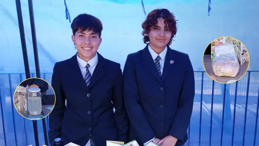 Dos alumnas de Los Ángeles crearon premiada alternativa sustentable para reemplazar el plástico