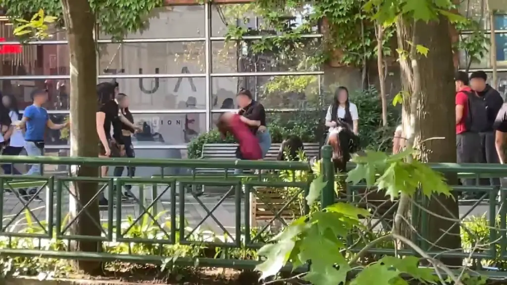 Momentos de la riña captada por usuarios , Captura 