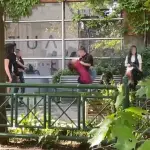 Momentos de la riña captada por usuarios , Captura 