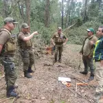 Denuncian tala ilegal de árboles nativos en Parque Nacional Nonguén, Conaf