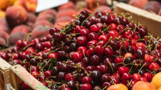 Fedefruta proyecta alza de hasta 7% en volumen exportado, pero alerta baja valoración por kilo