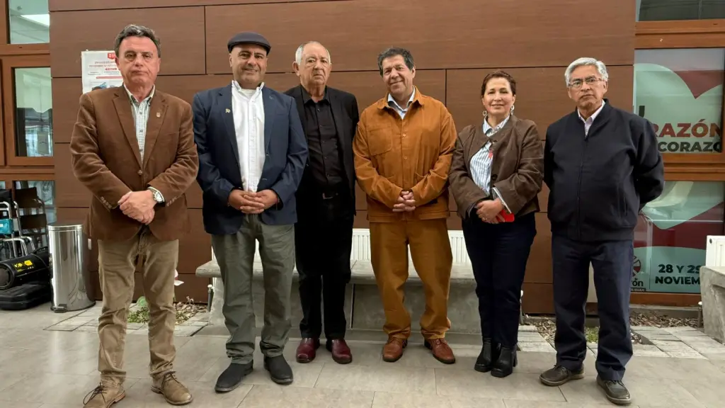 Alcaldes territorio Biobío Cordillera, Amcordi