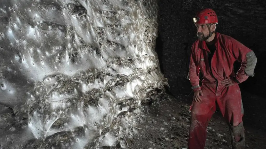 Científicos descubren una megaciudad de más de 100 mil arañas bajo tierra entre Grecia y Albania, Subterranean Biology