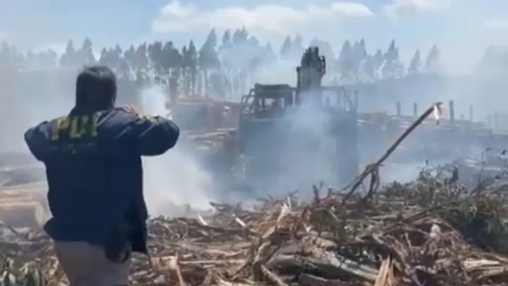 El ataque se registró al interior de un predio. PDI indaga lo sucedido., PDI Araucanía