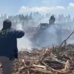 El ataque se registró al interior de un predio. PDI indaga lo sucedido., PDI Araucanía