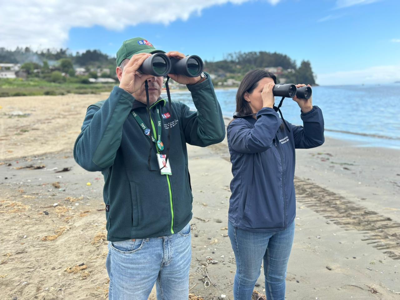 Avistamiento / Minagri