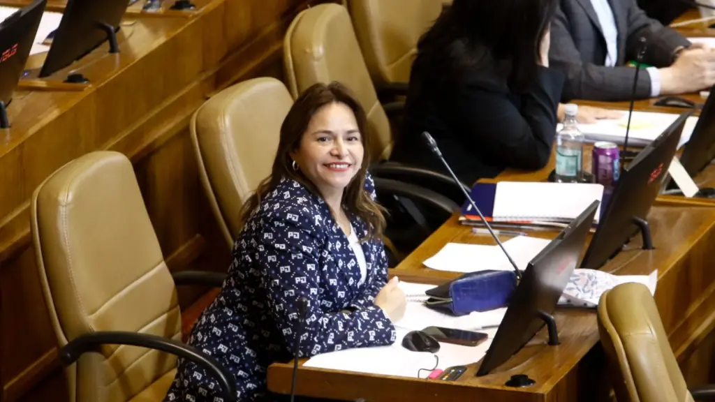 Diputada Joanna Pérez propone llamar a servicio a ex detectives de la PDI para control migratorio, Cedida