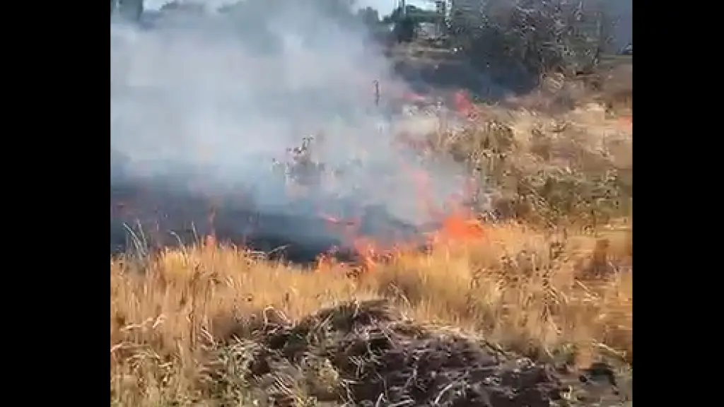Incendio de pastizales sector Monte Cea, La Tribuna