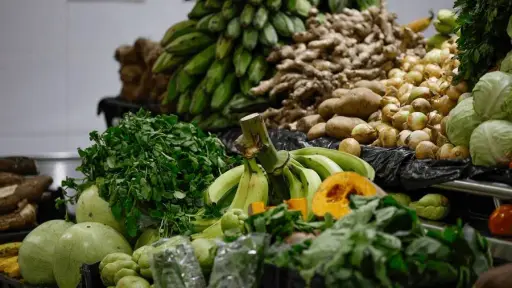 El impacto de los aranceles en el comercio agrícola estadounidense