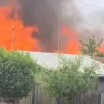 Cuatro bomberos colapsados y cinco viviendas destruidas tras violento incendio en Mulchén, Información en Línea Mulchén