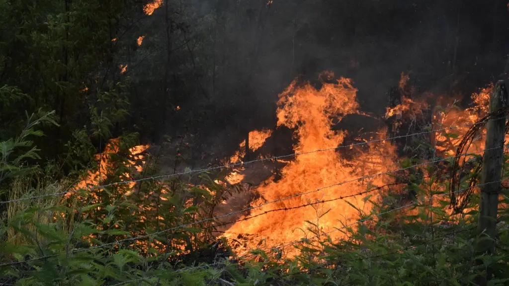 Incendio Nacimiento - Santa Juana, Archivo La Tribuna