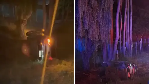 Conductor habría volcado tras intentar evadir a un perro en Laja