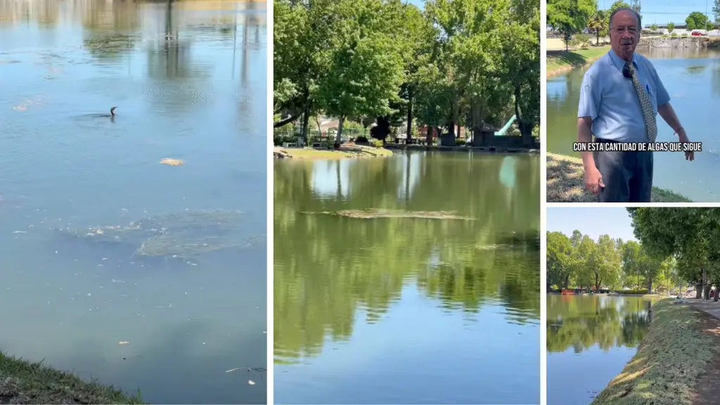 Alcalde ordena reforzar trabajos de limpieza en Laguna Esmeralda por presencia de algas