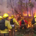 La provincia de Biobío registra 24 incendios forestales con 19,72 hectáreas afectadas en 2025, según datos de Conaf. 