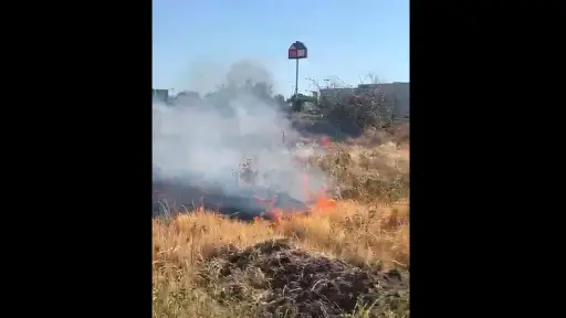 Una vez más: desconocidos encienden fuego a pastizales cerca de villa Monte Cea