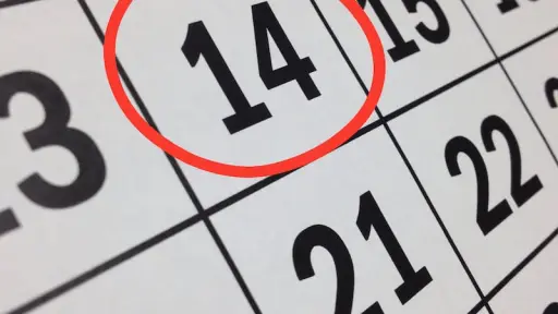 ¿Qué feriados quedan este 2025?: Las tres fechas pendientes del calendario