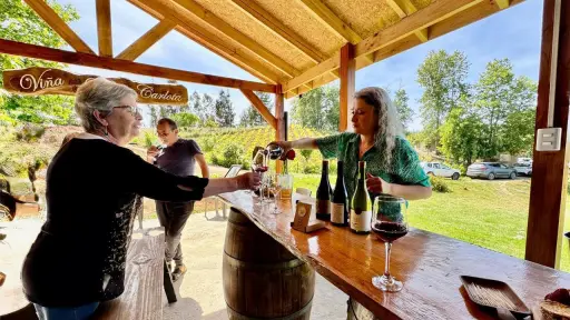 Viña María Carlota de Florida conquistó el CatadOr Wine Awards