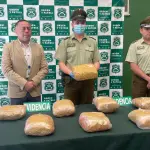 Droga fue incautada por el O.S.7 de Carabineros, Ministerio Público