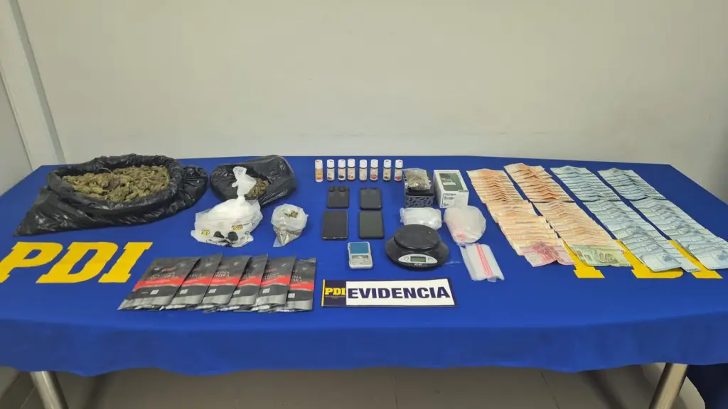 Especies incautadas por detectives de la BIPE, PDI Araucanía