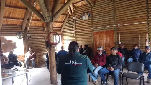 SAG inicia despliegue cordillerano para resguardar animales durante las veranadas