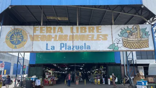 Comercio ilegal: autoridad de Seguridad Pública visita Vega Techada y anuncia diseño de plan de ordenamiento