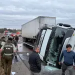 Volcamiento de camón de carga ruta 5 sur cerca del Salto del Laja, Cedida