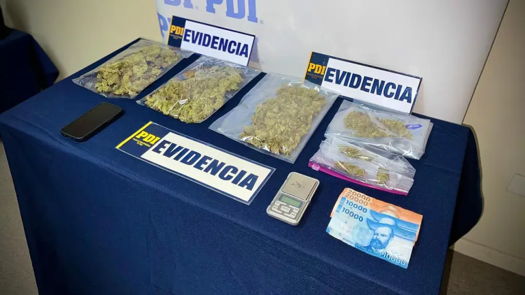 Una persona fue detenida por microtráfico de drogas en Curanilahue, PDI Biobío