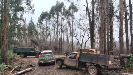 Robo de equipos, abigeato y sabotaje eléctrico: gremio agrícola advierte sobre crisis en zonas rurales
