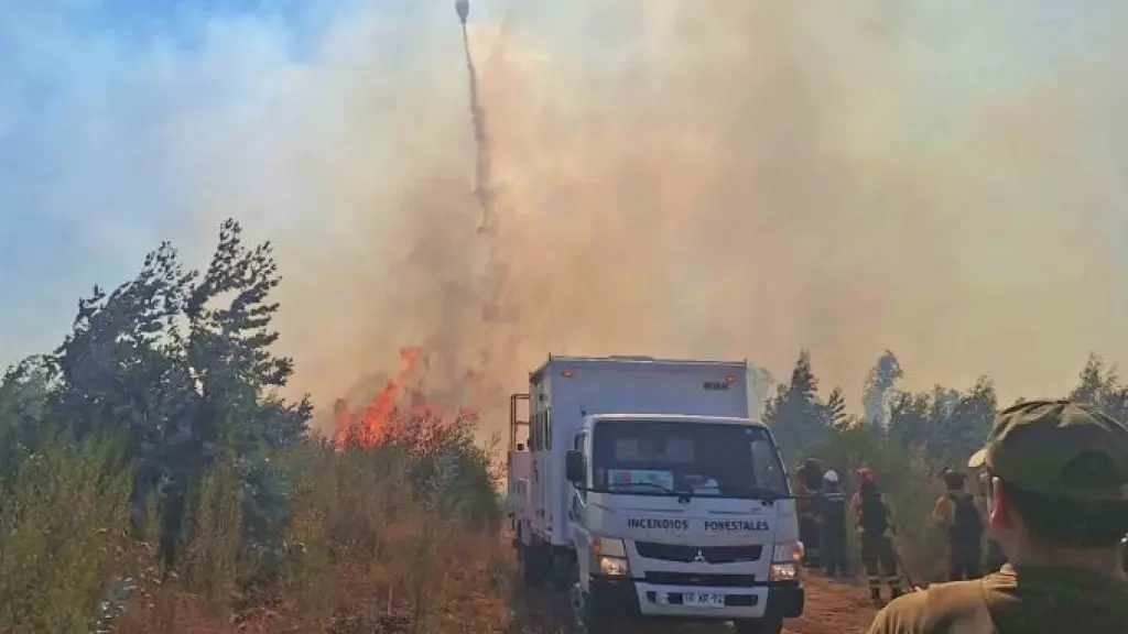 Incendio forestal en sector sur de Mulchén, referencial