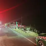 Auto cayó a canal en Quilaco, habría un fallecido, Cedida