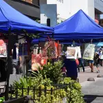 La ley establece un plazo de seis meses desde la recepción del producto para hacer efectiva la garantía legal., La Tribuna