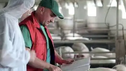 Somos vulnerables: productores de carne exigen más recursos para blindar las fronteras ante plagas