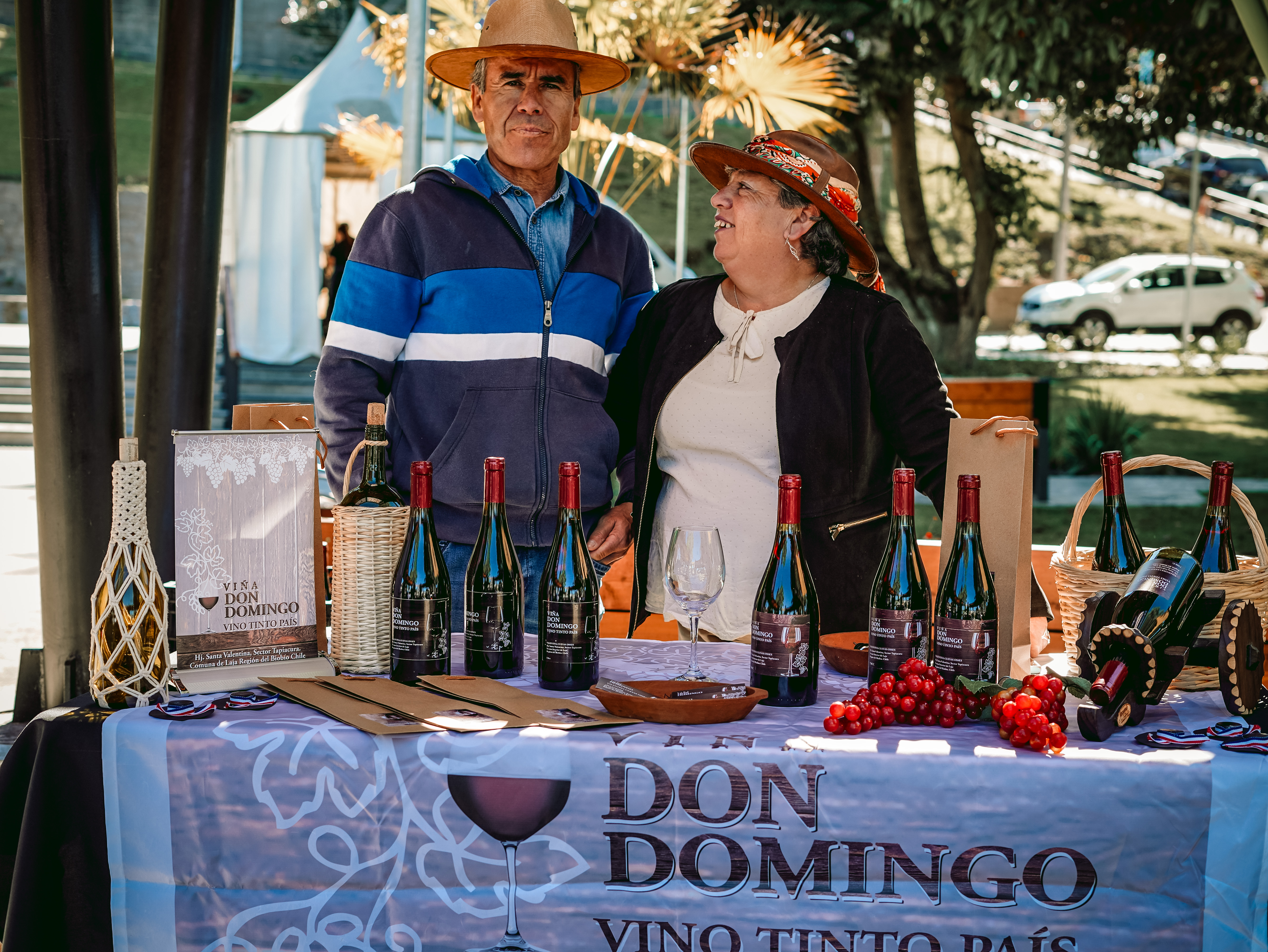 Viña Don Domingo en Expo Vino Laja. / Municipalidad de Laja
