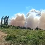 Incendio forestal Alameda Sur en Santa Fe de Los Ángeles., Cedida