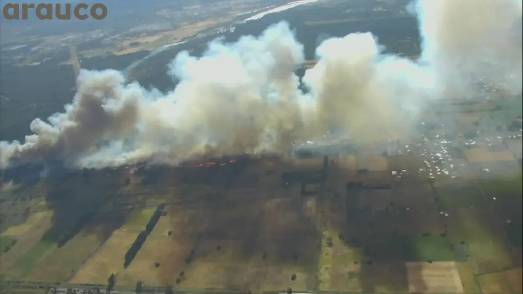 El incendio afecta, hasta ahora, una superficie cercana a las 0,6 hectáreas., Arauco