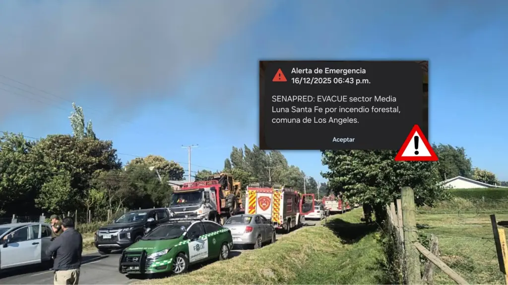 Desde el organismo reiteraron la importancia de mantener la calma y seguir estrictamente las instrucciones entregadas por la autoridad y los equipos de respuesta que operan en el lugar., Edición Diario La Tribuna