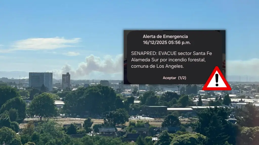 Las autoridades reiteraron la importancia de actuar con calma, seguir las instrucciones oficiales y facilitar el trabajo de los equipos de emergencia que operan en la zona afectada., Edición Diario La Tribuna