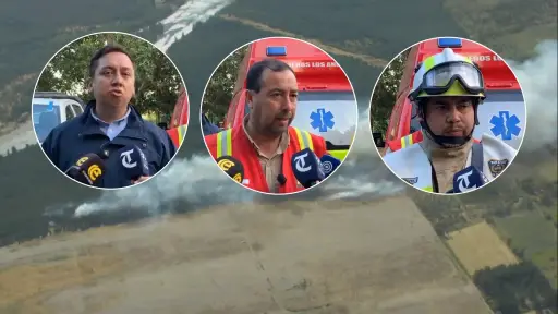 Incendio forestal en Los Ángeles baja su intensidad y descartan riesgo para viviendas